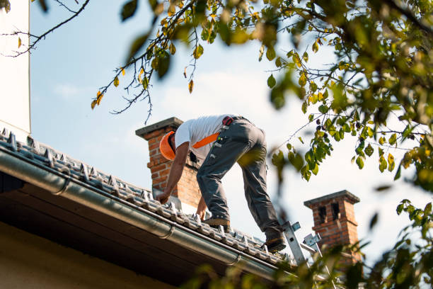 Best Roof Gutter Cleaning  in Haverford College, PA